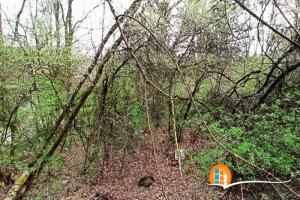 Picture of listing #330395794. Land for sale in Épinal