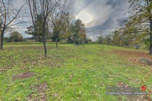 Picture of listing #330411476. Land for sale in Lutzelhouse