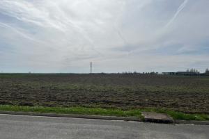 Picture of listing #330414299. Land for sale in Dadonville