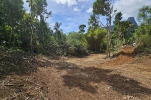 Picture of listing #330415060. Land for sale in Afareaitu