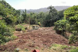 Picture of listing #330428099. Land for sale in La Trinité