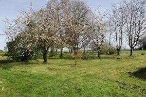 Picture of listing #330445469. Land for sale in Villebarou