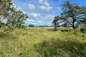 Photo de l'annonce nº 330461560. Terrain à vendre sur Peyzieux-sur-Saône