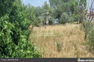 Picture of listing #330489037. Land for sale in Sorgues