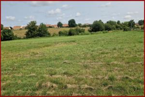 Picture of listing #330502448. Land for sale in Cérans-Foulletourte
