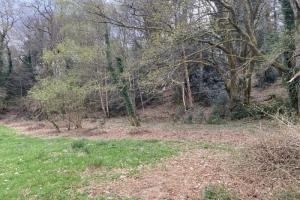 Picture of listing #330543004. Land for sale in Peyrat-le-Château