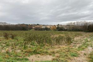 Vignette de l'annonce nº 330550595. Cliquez pour la fiche complète.