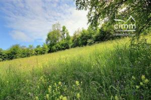 Picture of listing #330564505. Land for sale in Saint-Sigismond