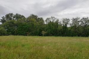 Picture of listing #330570855. Land for sale in Mouliherne