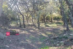 Picture of listing #330580096. Land for sale in Uzès
