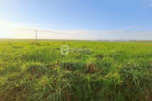 Picture of listing #330580729. Land for sale in Boursies