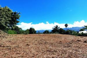 Picture of listing #330594443. Land for sale in Toahotu