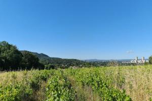 Photo de l'annonce nº 330612830. Terrain à vendre sur Saint-Paul-Trois-Châteaux