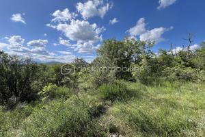 Picture of listing #330617209. Land for sale in Sauve