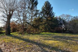 Thumbnail of property #330619000. Click for details
