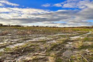 Photo de l'annonce nº 330620720. Terrain à vendre sur Le Plessis-Lastelle