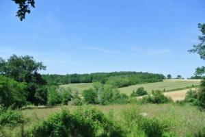 Picture of listing #330650202. Land for sale in Castelnau-sur-Gupie