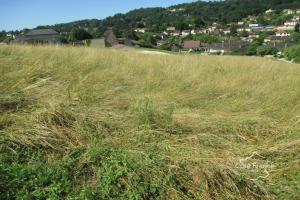 Picture of listing #330673373. Land for sale in Sarlat-la-Canéda