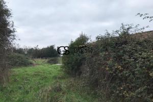 Picture of listing #330702574. Land for sale in Margaux