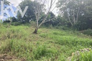 Picture of listing #330709388. Land for sale in Saint-Esprit