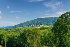 Picture of listing #330713169. Land for sale in Lachapelle-sous-Chaux
