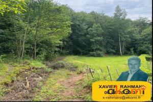 Picture of listing #330729747. Land for sale in Saint-Dié-des-Vosges