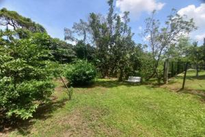 Thumbnail of property #330730966. Click for details