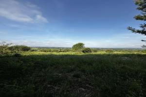 Photo de l'annonce nº 330742750. Terrain à vendre sur Montfrin