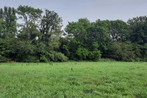 Picture of listing #330752117. Land for sale in Vulbens