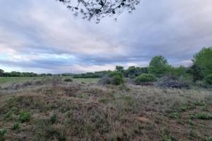 Picture of listing #330762546. Land for sale in Pouzols-Minervois
