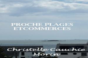 Picture of listing #330768966. Appartment for sale in Pornichet