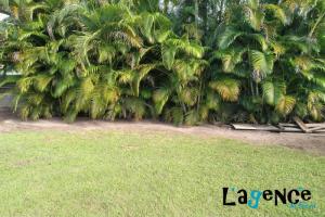 Picture of listing #330770110. Land for sale in Afareaitu