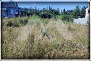 Picture of listing #330780286. Land for sale in Le Tampon