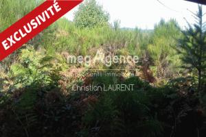 Picture of listing #330781647. Land for sale in Noirétable