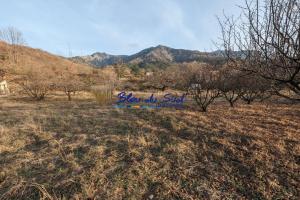 Picture of listing #330791391. Land for sale in Fillols