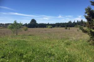 Picture of listing #330791932. Land for sale in Mazan