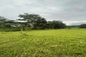 Picture of listing #330797502. Land for sale in Afaahiti