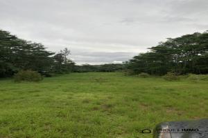 Picture of listing #330797503. Land for sale in Afaahiti