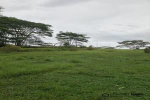 Picture of listing #330797507. Land for sale in Afaahiti