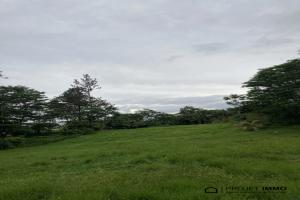 Picture of listing #330797511. Land for sale in Afaahiti