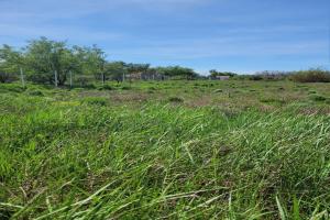 Picture of listing #330801488. Land for sale in Manduel