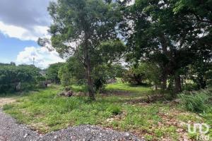 Picture of listing #330808925. Land for sale in Petit-Canal