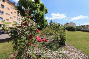 Picture of listing #330810100. Appartment for sale in Oullins