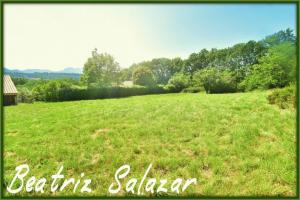 Picture of listing #330810256. Land for sale in Sisteron