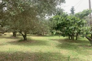 Picture of listing #330812402. Land for sale in Alleins