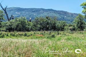 Picture of listing #330818743. Land for sale in Sisteron