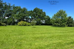 Picture of listing #330829220. Land for sale in Châtillon-sur-Chalaronne