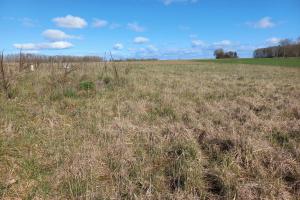 Picture of listing #330839516. Land for sale in Rethel