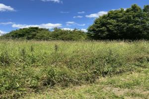 Picture of listing #330840298. Land for sale in Javené