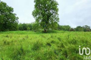 Picture of listing #330840605. Land for sale in La Ferté-Saint-Cyr